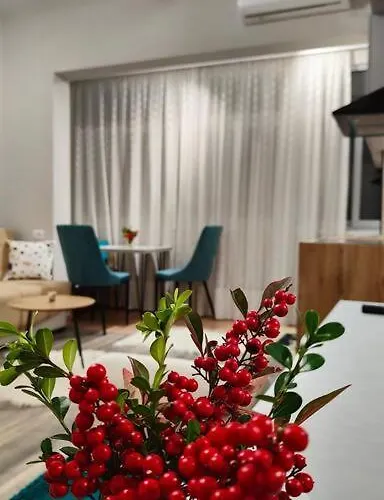 Nana Vicino Cattedrale 公寓 Shkodër